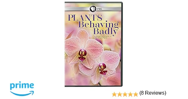 Watch Behaving Badly Streaming