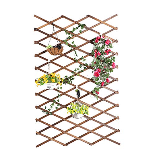 Pillows-RJF Gartenzaun Ausbaufähig Hölzerner Zaun Dekor Pflanzenwand Verstärkte Rasenkante für Weiden Hinterhof,3 Größe…