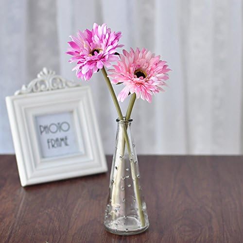 Artificial Flowers Africa Rose Ju Emulation Flower Vases Glass Kit,First Is African Ju