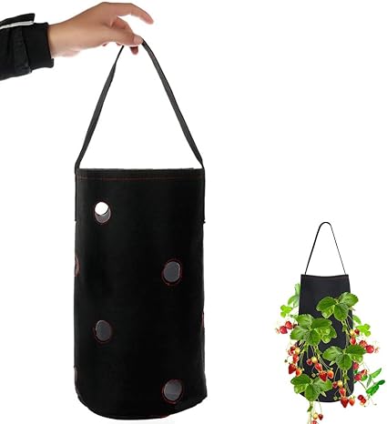 Seluxu Jardiniere De Fraises Et D Herbes Verticale Pour Le Jardinage Avec Sac De Culture De Fraises Pour La Plantation De Fraises Herbes Tomates Amazon Fr Cuisine Maison