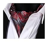 SetSense Men's Floral Jacquard Woven Self Cravat Tie Ascot One Size Red / Gray / Black