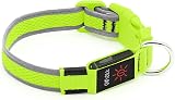 YFbrite Light Up Dog Collar LED USB Rechargeable Green Large view 9
