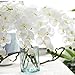 Miracliy 1 Piece Artificial Butterfly Orchid Flower Artificial Flower Plant for Home Decoration, White