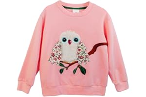 Joketiger Little Girls Boys Sweatshirts Animals Owl Applique Embroidered Print Kids Pullover Long Sleeve Fall Toddler Tops