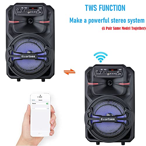 Heartsea Karaoke Machine for Adults Pricepulse