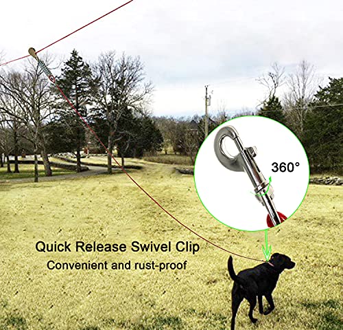 overhead dog trolley