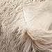Fake Faux Fur Curly Alpaca Latte 58 Inch Wide Fabric by The Yard (F.E.®)
