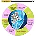 Cool Pasnew LED 100M Waterproof Digital Sport Watch for 5-15 Years Old Boys Girls Kids Students (Black)