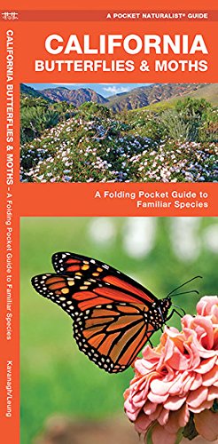 Download California Butterflies & Moths: A Folding Pocket Guide to Familiar Species (A Pocket Naturalist Guide)