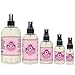 SHANY DETOX Professional Makeup Brush and Sponge Shampoo, Brush Cleanser, Removes dirt, Makeup from brushes and Sponges - Paraben Free, Vegan, Cruelty Free - Instant Dry - 2oz