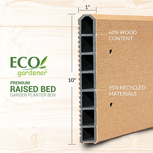ECOgardener Premium Raised Bed Garden Planter Box 2' x 4' – The Most Beautiful Elevated Planter That Will not Crack, Split, warp or Break. Easy Setup and Maintenance Free Design.