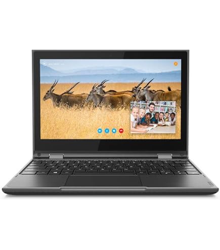 Amazon.com: Lenovo ThinkPad E585 : Electronics