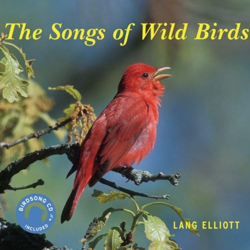 The Songs of Wild Birds Paperback โ Bargain Price, October 11, 2006