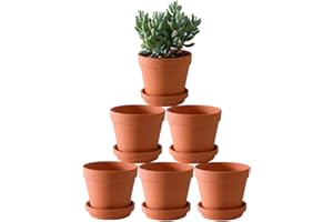 YISHANG Terra Cotta Pots with Saucer- 6-Pack Large Clay Pots 5.5'' Ceramic Pottery Planter Cactus Flower Succulent Pot with Drainage Hole- Great for Plants,Crafts terra cotta planter