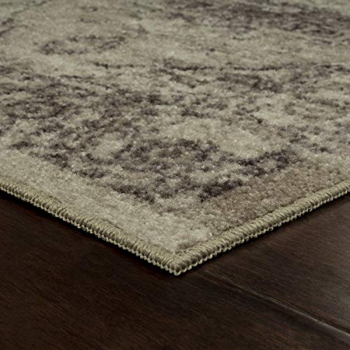 Maples Rugs Distressed Lexington Area Rugs Carpet for Living Room