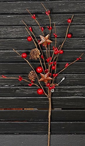 Artificial Red Mixed Berry and Pine Cone Stems with Rusty Stars – Pack of 6 Christmas Rustic Berries, Farmhouse Home Decor for Table Arrangements and Seasonal Centerpiece Decorations (12" Long)