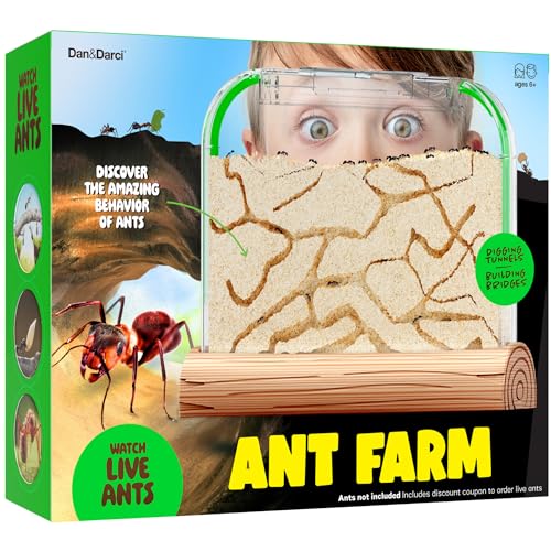 Dan&Darci Ant Farm Kit