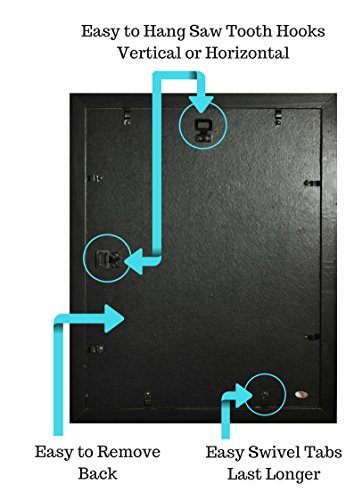 Tasse Verre (2-Pack) Collage Picture Frame 11x14 - Black - Displays Five 4x6 Inch Pictures with Mat and Glass Protection