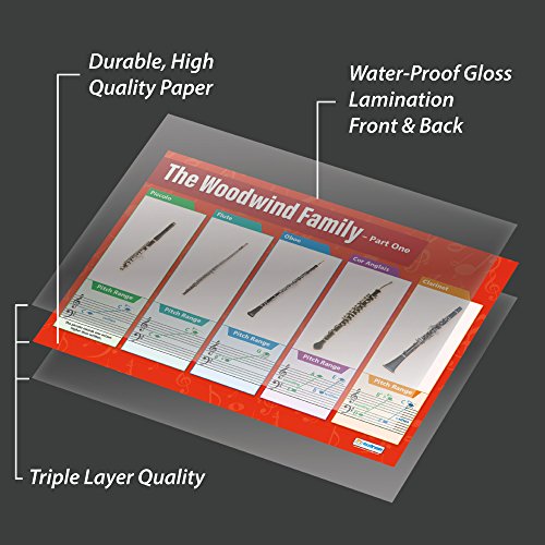 Woodwind Instruments (1) | Music Posters | Laminated Gloss Paper measuring 33” x 23.5” | Music Charts for the Classroom | Education Charts by Daydream Education