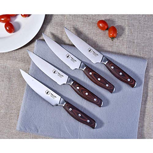 5 Senior+Steak+knife+Stainless+Ergonomics