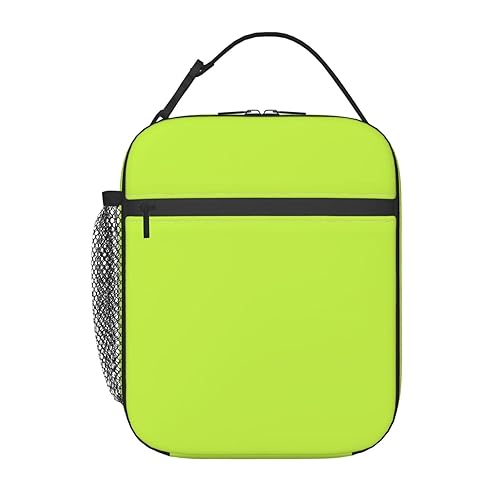 ybclf Green Lunch Box Insulated Lunchbox for Men Women Adults Reusable Portable Lunch Bag for Office Work Picnic