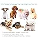 RilexAwhile Dog Socks Boots Shoes for Dogs Cat Socks Non-Slip Soles Adjustable Dog Cat Paw Socks Fit for Indoor Outdoor Use(Medium, Black)