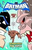 Batman Vs the Yeti (DC Super Heroes: Batman: The Brave and the Bold)