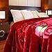 JYK 10 lbs King Ultra Silky Heavy Thick Korean Mink Bed Blanket, Two-Ply Printing Reversible (Flower&Red)