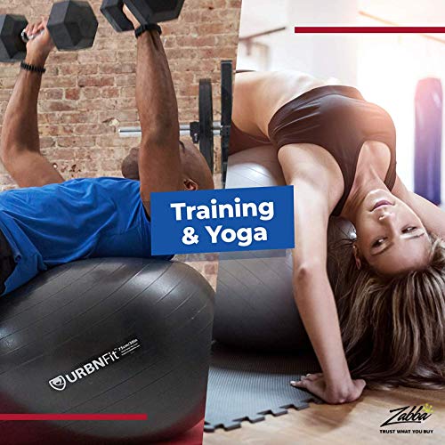 URBNFit-Exercise-Ball-Multiple-Sizes-for-Fitness-Stability-Balance-Yoga-Ball-Workout-Guide-Quick-Pump-Included-Anti-Burst-Professional-Quality-Design