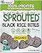 Organic Sprouted Black Rice Crackers – Gluten Free, Vegan, Paleo Snacks – Sea Salt Flavor (1)