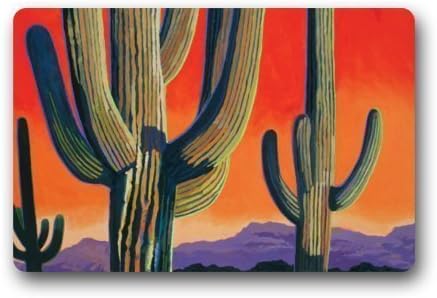 Nick Thoreaufhed Sunset Desert Cactus Art Doormat Rug Indoor/Outdoor/Front Door/Bathroom Mats£¬Bedroom Doormat (L23.6"X15.7"W)