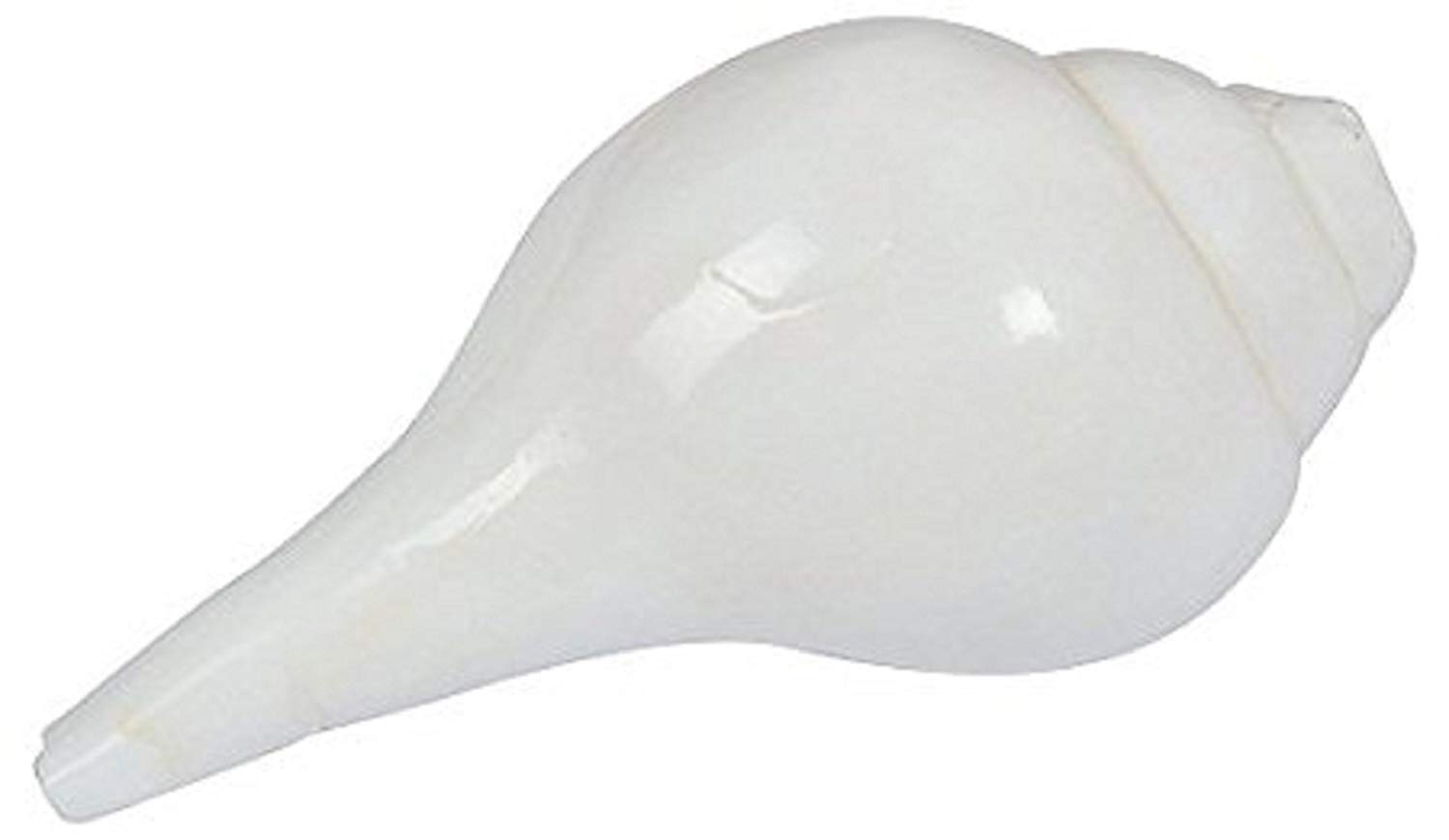 Sharda Enterprise Dakshinavarti Lakshmi Natural Pooja/Conch Shell Valampuri Shankh (White)