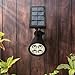 Waterproof Solar Garden Lights - Battery Powered Outdoor Sensor LED Lighting - Wall, Yard, Pool, Patio, Lawn or Driveway Mounting Lanterns - Pack of 2