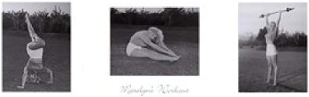 Art Poster with Deathwing World Of Warcraft Game Wall Scroll Poster Fabric Painting 24 by 36-Inch(60 X 90 cm)