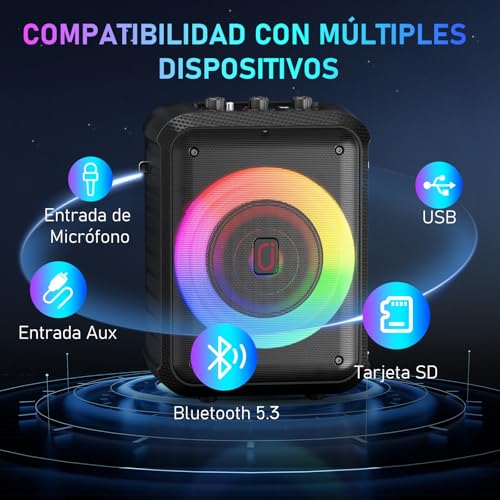 HWWR Karaoke Machine, Karaoke Device with 2 Microphones, Portable Bluetooth Karaoke Device with DJ Lights, PA System, Ideal for Family Gatherings and as a Gift for Adults and Kids
