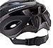 Schwinn Thrasher Adult Micro Bicycle black/grey Helmet Adult