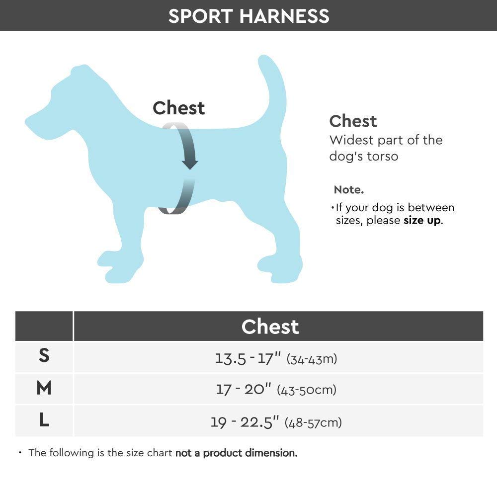 gooby harness petsmart