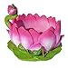 Miniature Fairy Garden Lotus Teacup Planter