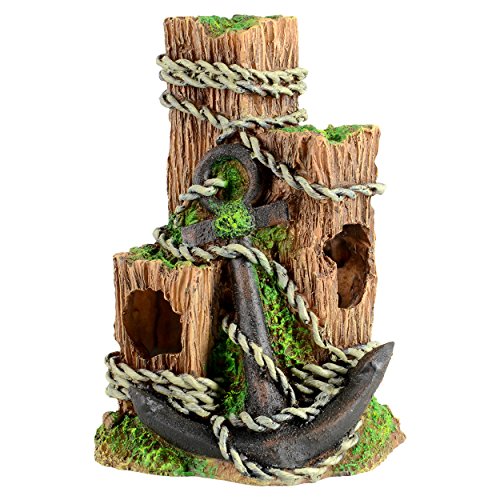 Top 10 Underwater Wood of 2020 No Place Called Home