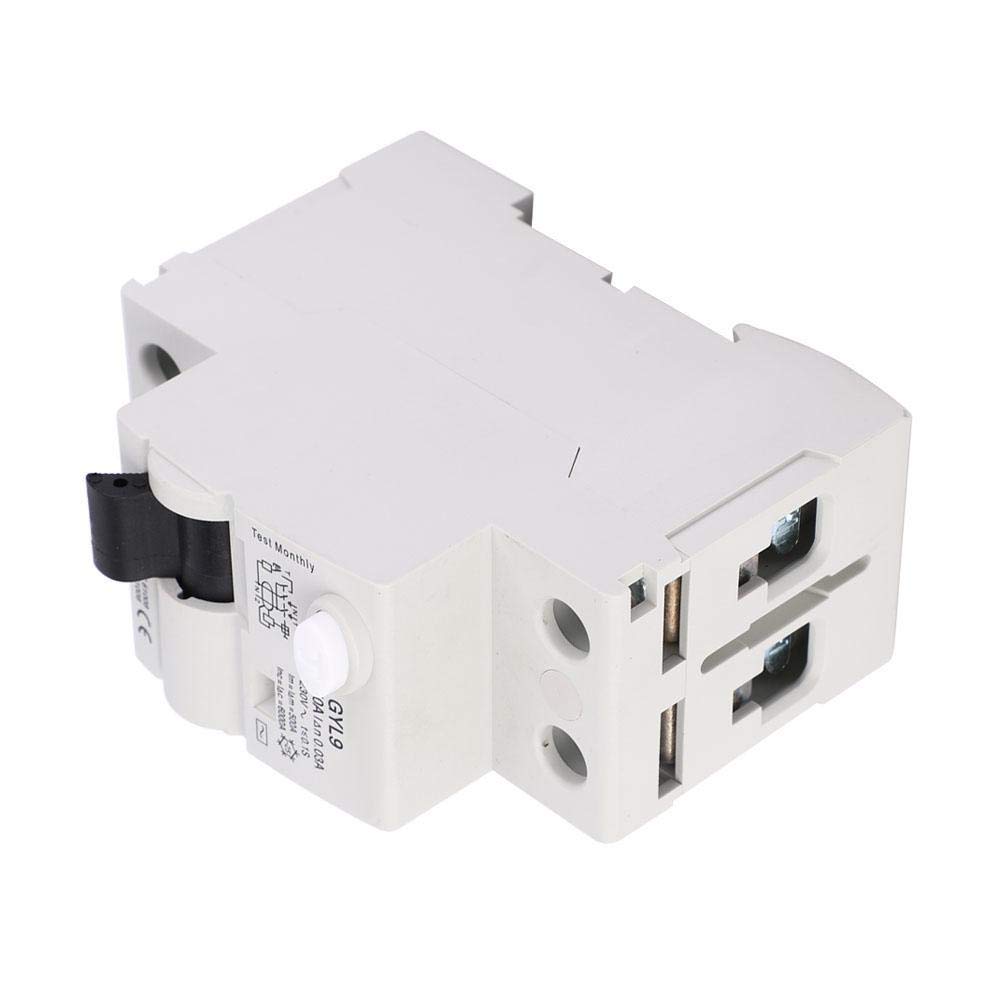 Interruttore Differenziale (RCCB) 2P 25A 100mA - Protezione Sovraccarico, Cortocircuito E Perdite A Terra