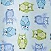 HALO SleepSack, 100% Cotton Wearable Blanket, Swaddle Transition Sleeping Bag, TOG 0.5, Owl, Large, 12-18 Months