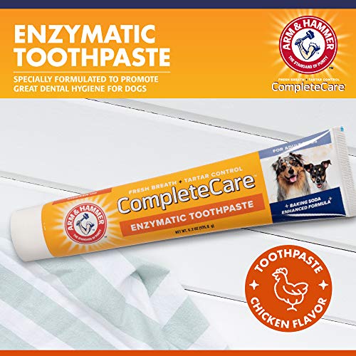 Arm & Hammer Complete Care Enzymatic Dog Toothpaste, 6.2 oz Dog Toothpaste for Puppies and