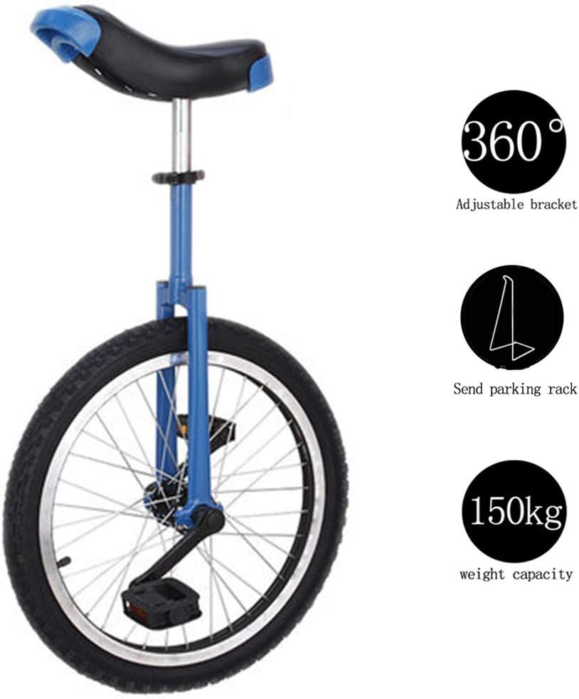 beginner bike trainer