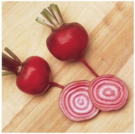 200 + Roma remolacha Remolacha semillas – Diana/bastón de caramelo ...