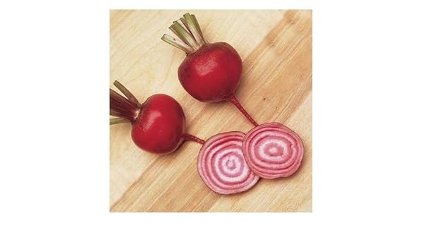 200 + Roma remolacha Remolacha semillas – Diana/bastón de caramelo ...