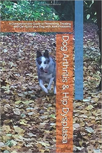 natural remedies for hip dysplasia in dogs