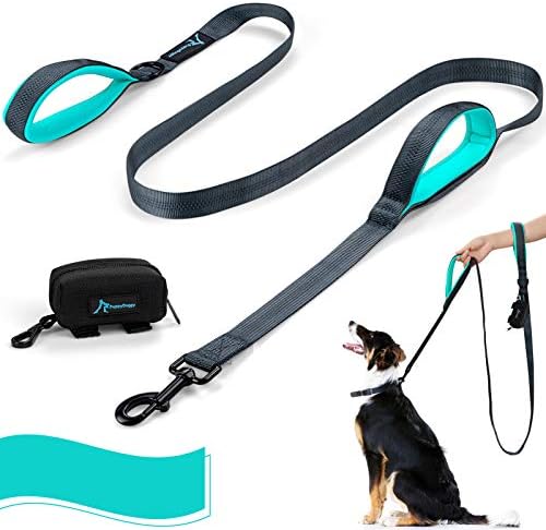 double handle dog leash