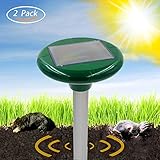 The Bigger Vivider 1 .75 inch Badge / Button / Pin / Pinback/ Button Set, (Pokemon)