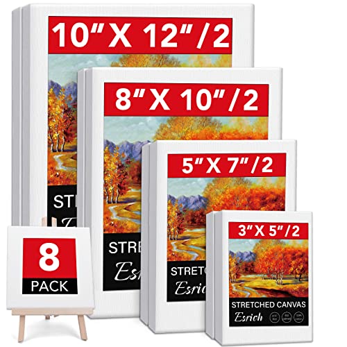 Stretched Canvases for Painting, 8PCS Multi Pack