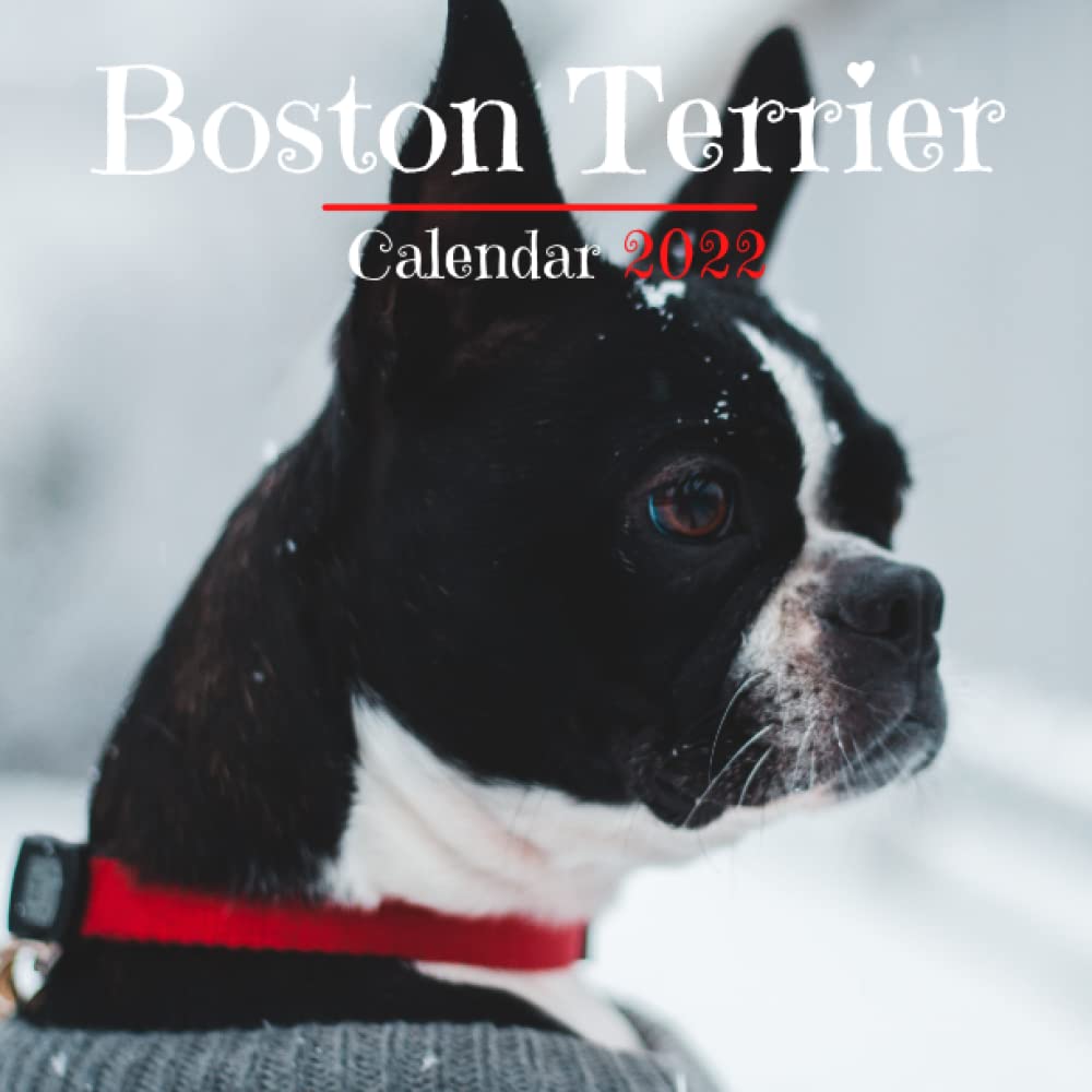 Boston Terrier Calendar 2022 Boston Terrier Calendar 2022: 12-Month Small Square Calendar Cute Boston  Terrier Photo For Dog And Boston Terrier Lovers With Inspirational Quotes  ... Coworker, Family ... 2022 Dog Calendar: Calendar, Linna: 9798777348111:  Amazon.com: Books